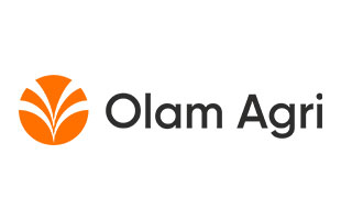formato-logo-web-olam