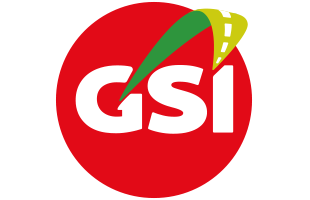 formato-logo-web-GSI