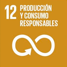 ODS 12: Producción y consumo responsable